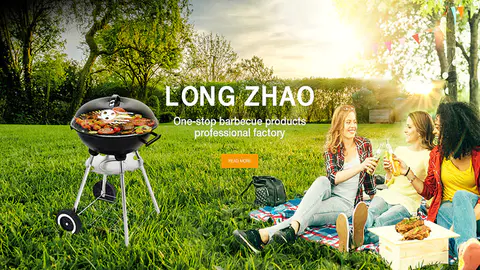 Foshan Longzhao Industry Co., Ltd.